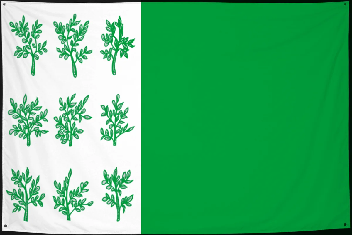 Флаг: Богородицк