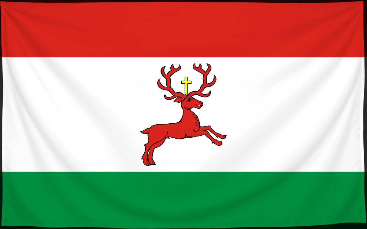 Флаг: Выжиск