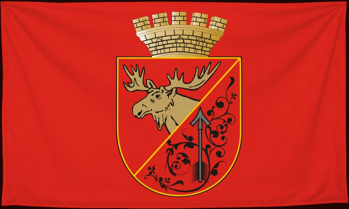 Флаг: Гусев