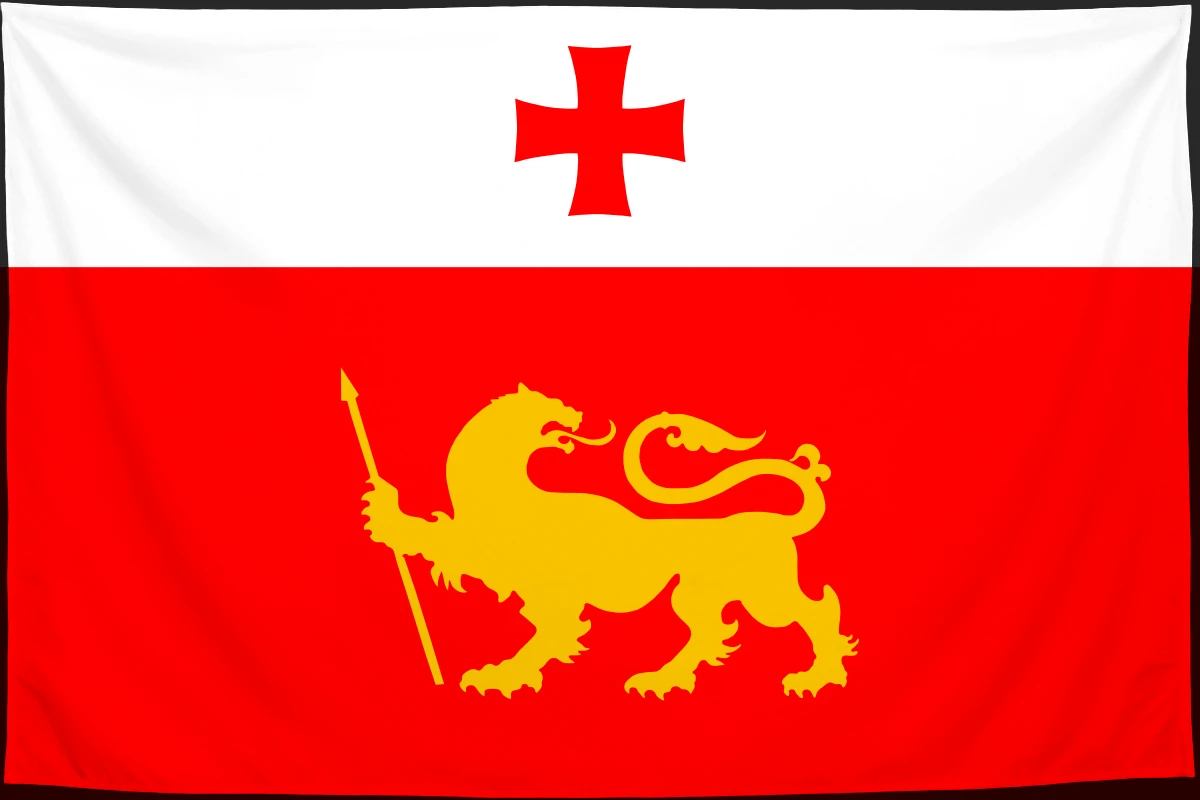 Флаг: Дманиси
