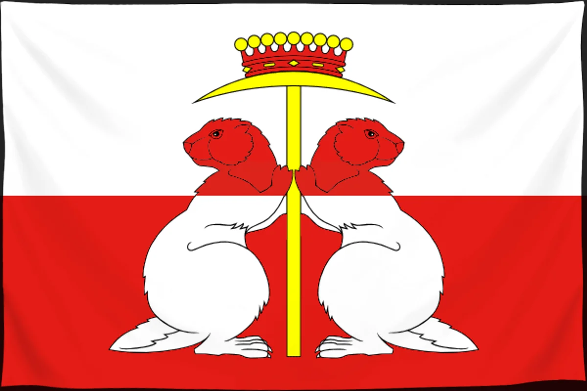 Флаг: Донской