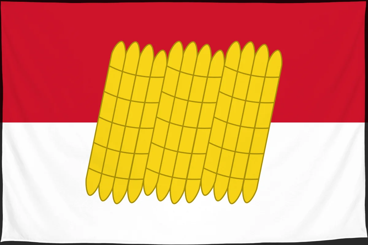 Флаг: Дорогобуж