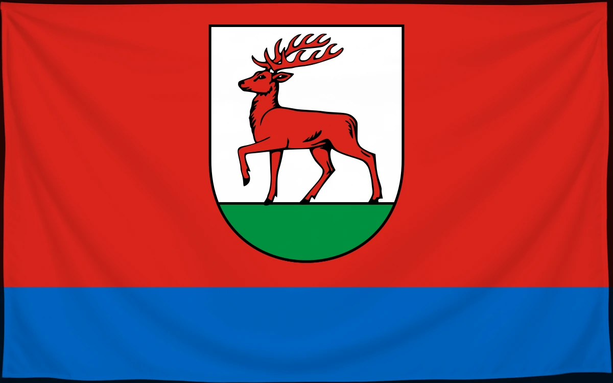 Флаг: Жепин