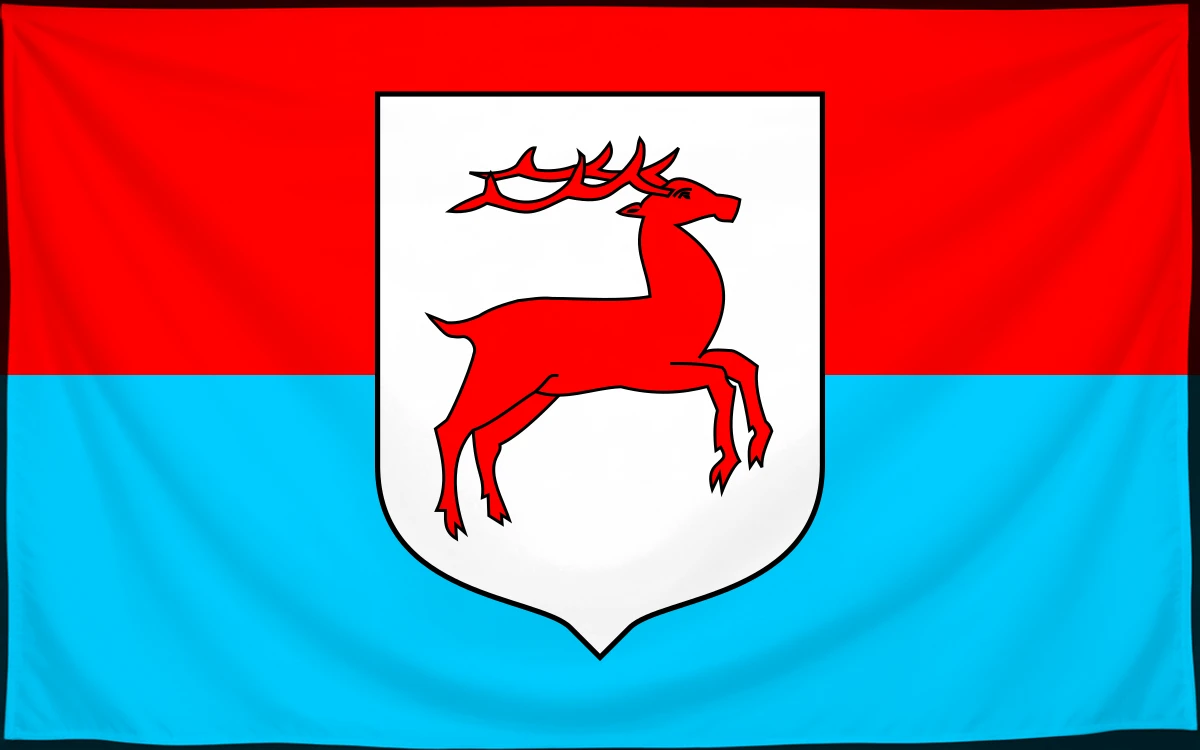 Флаг: Заблудув
