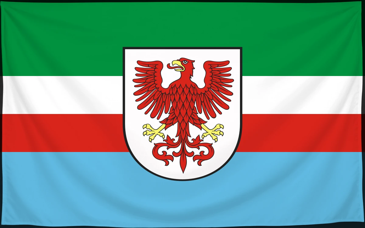 Флаг: Иньско
