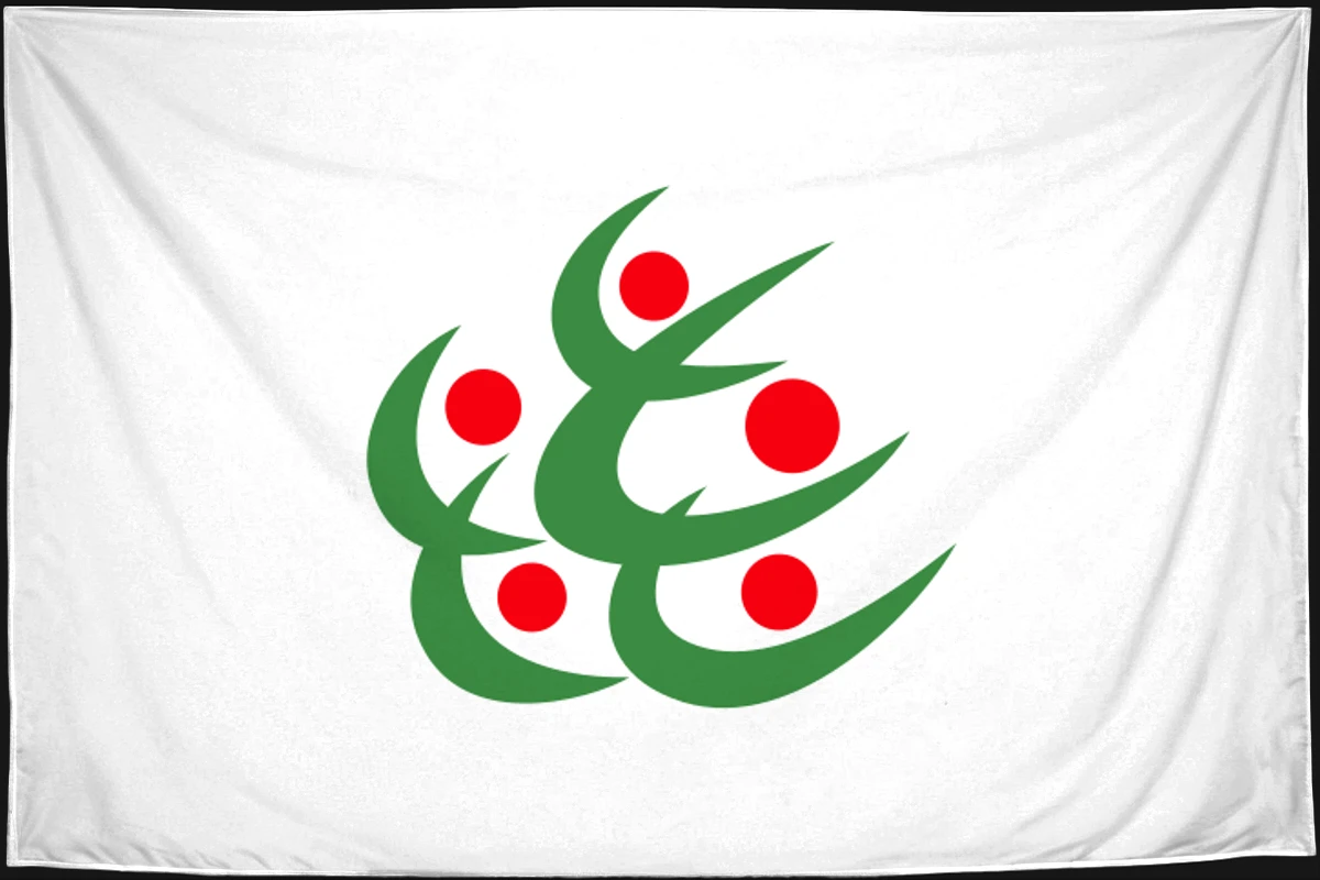Флаг: Китаката