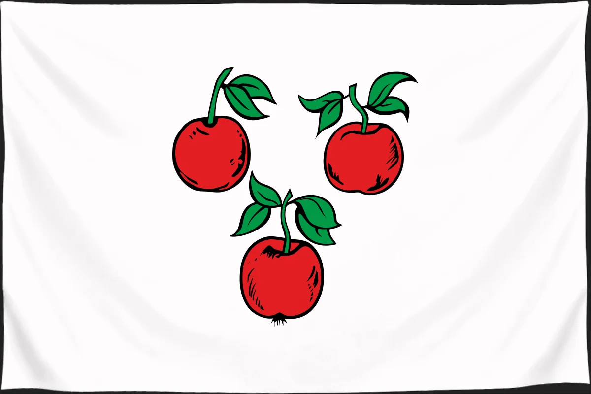 Флаг: Короча