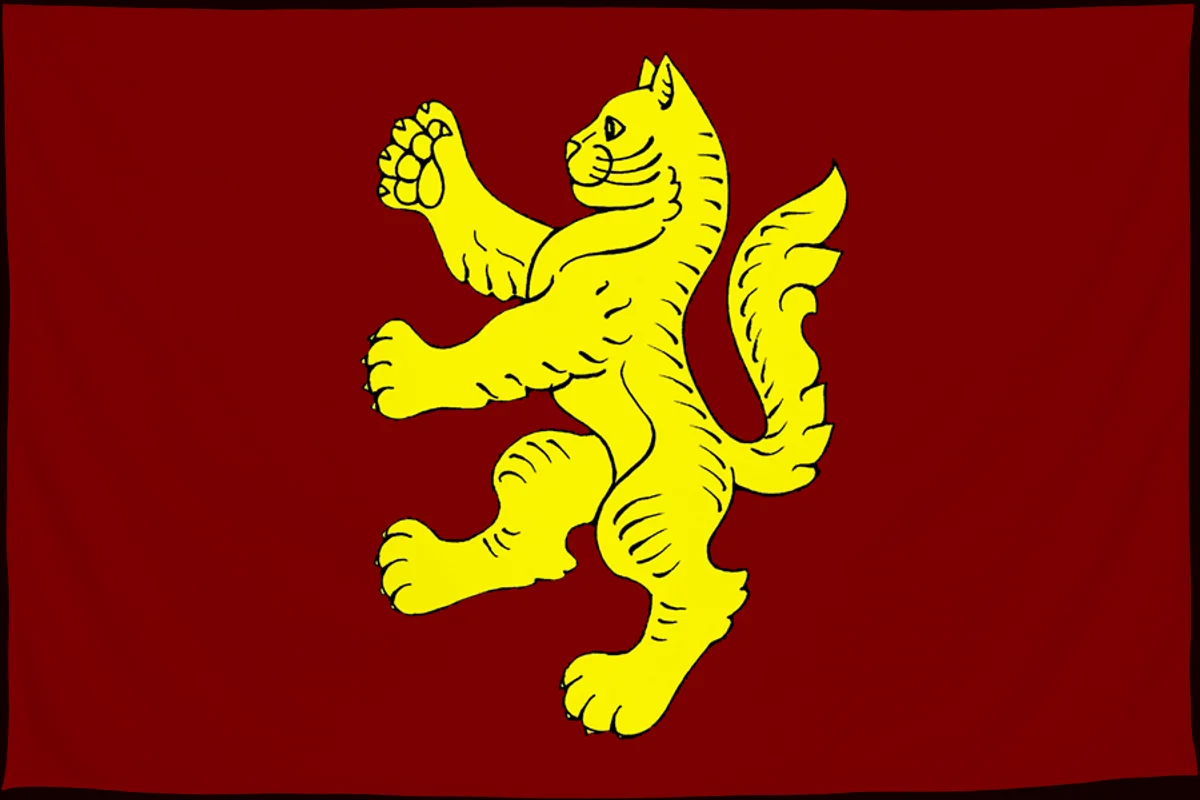 Флаг: Котово