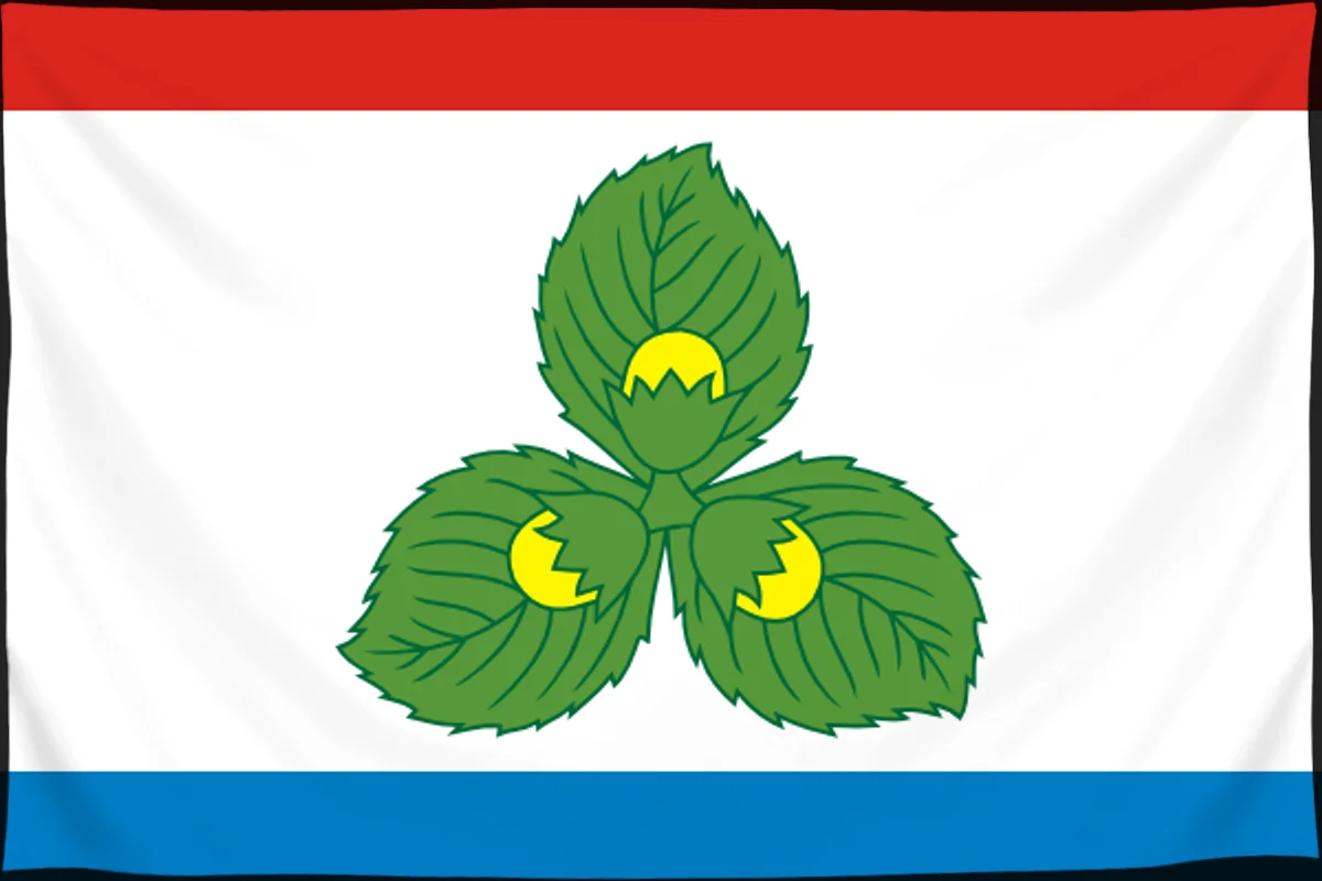 Флаг: Краснознаменск