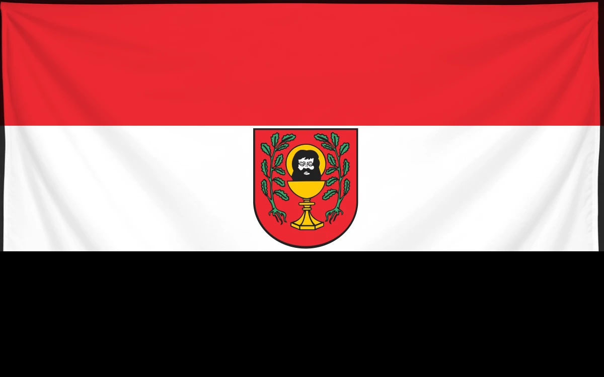 Флаг: Ласин