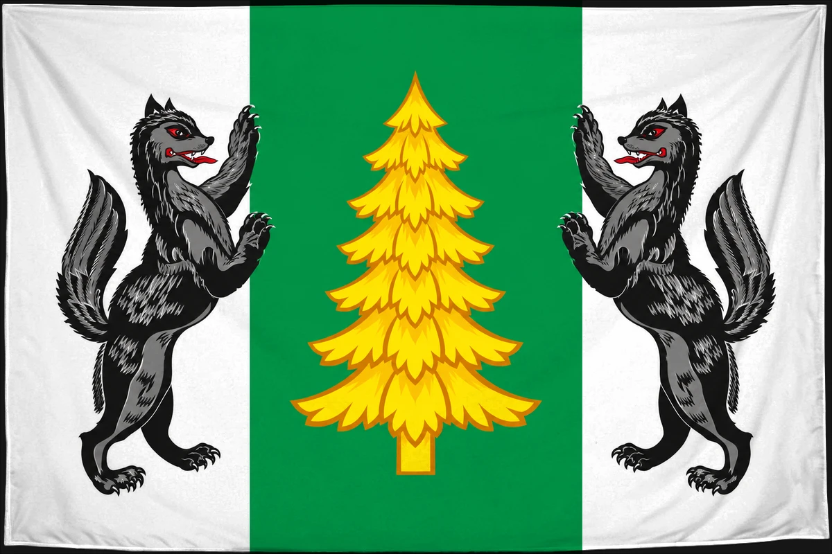 Флаг: Лесосибирск