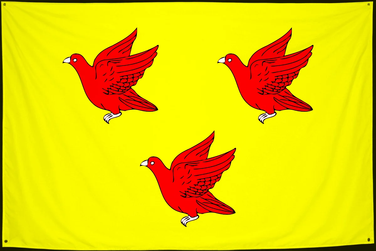 Флаг: Ливны