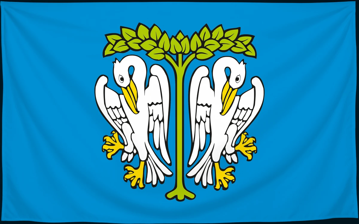 Флаг: Лович