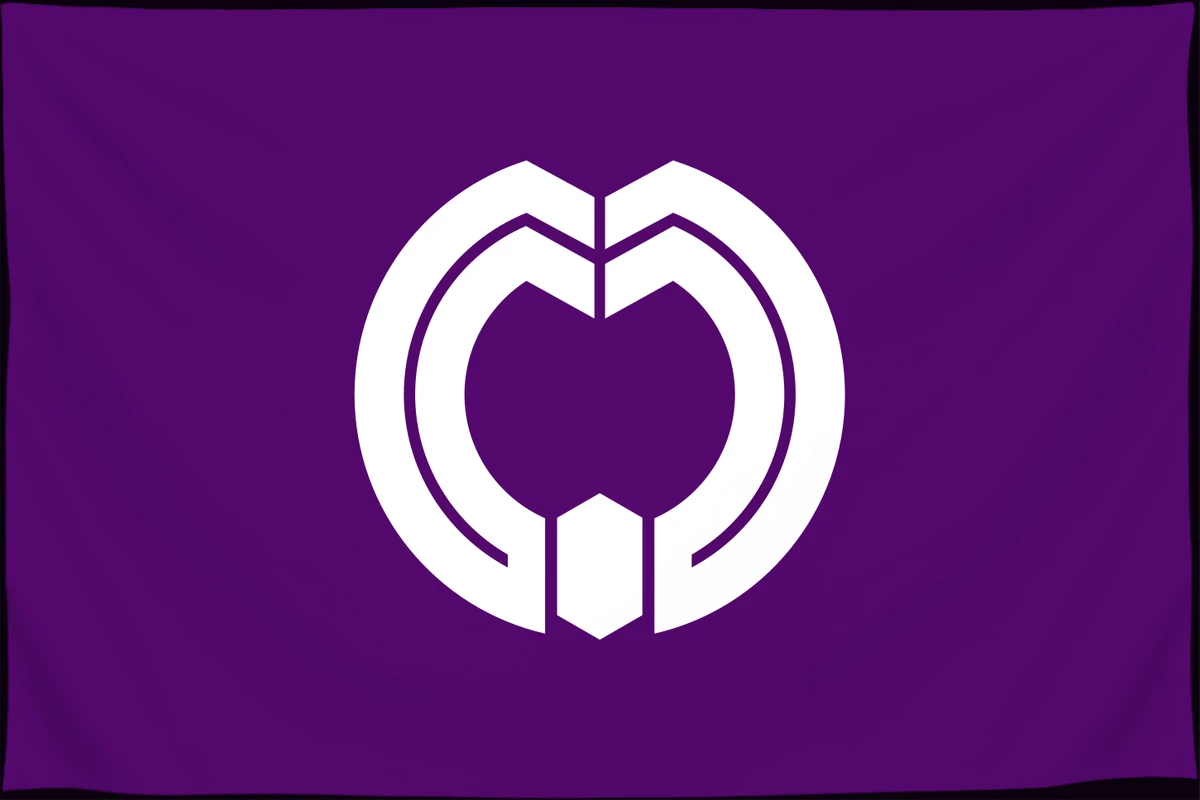Флаг: Минамата