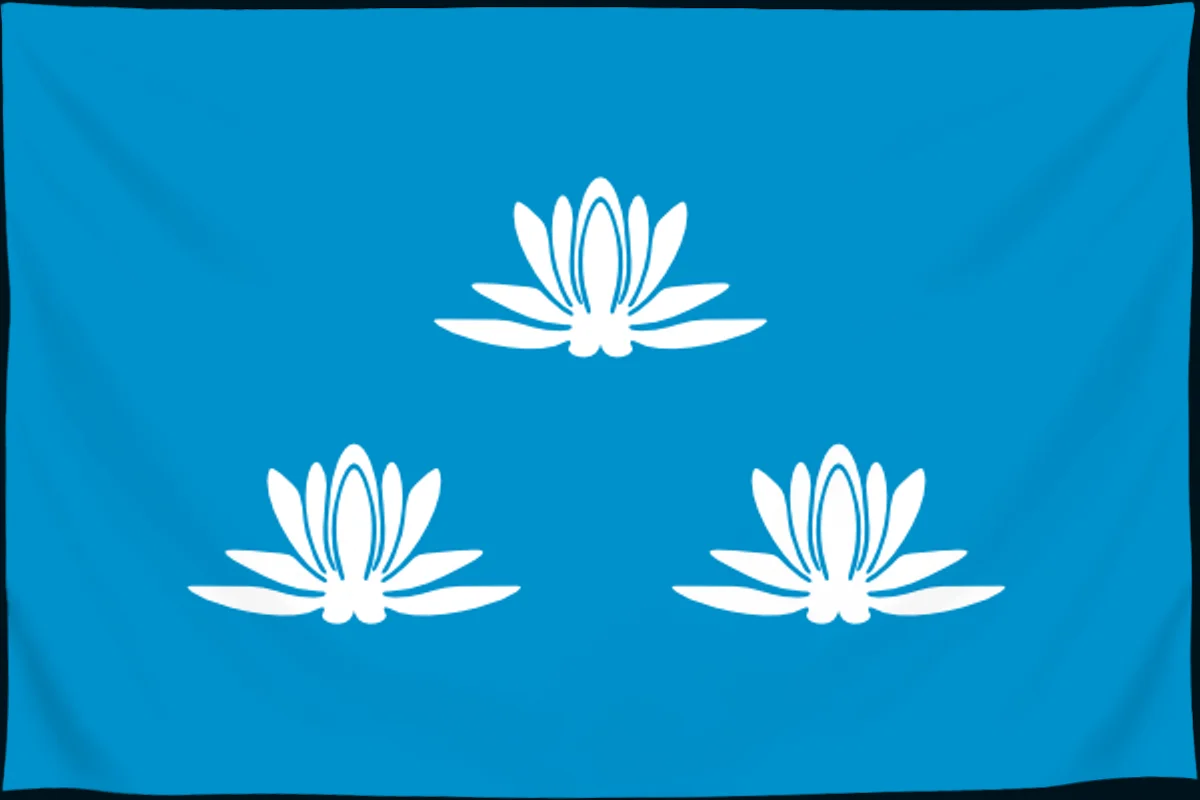 Флаг: Новокуйбышевск