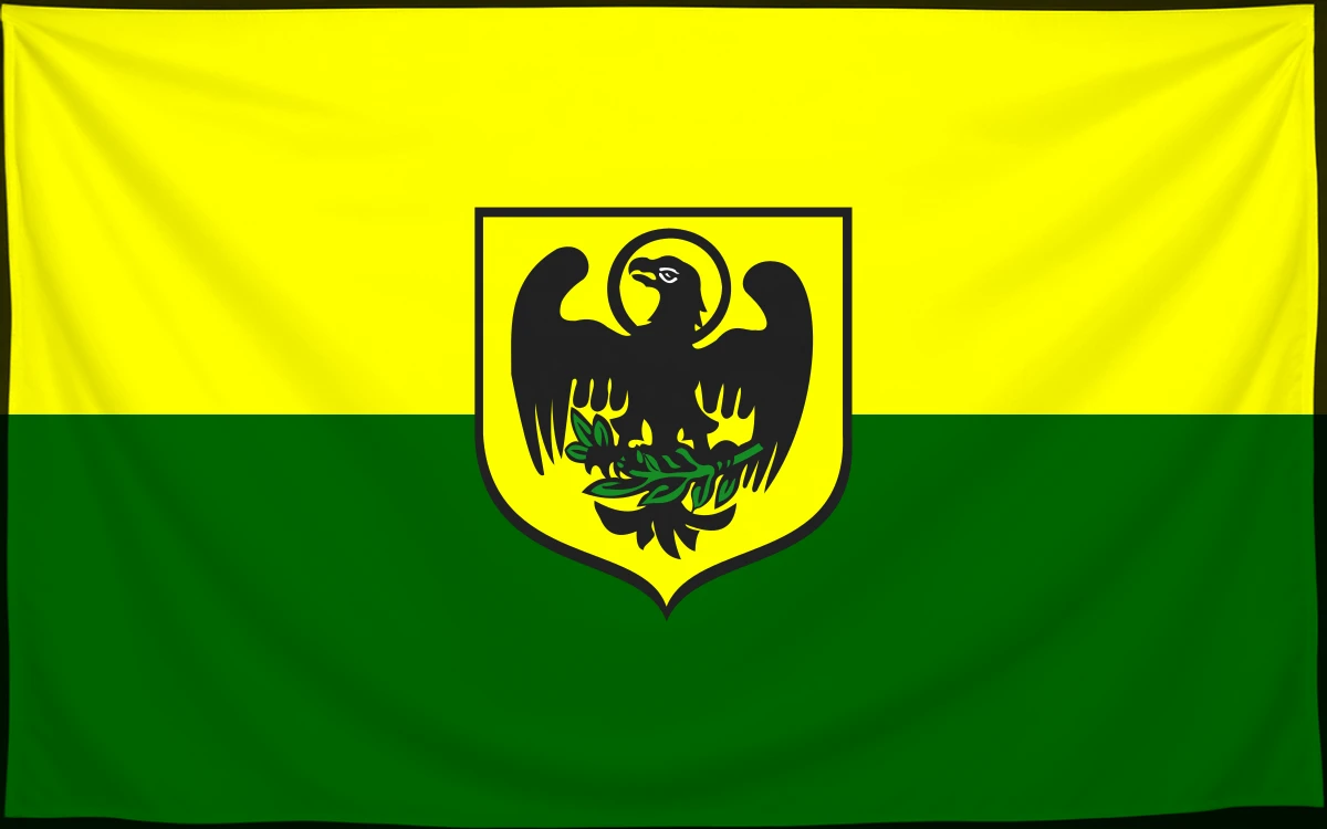 Флаг: Пачкув