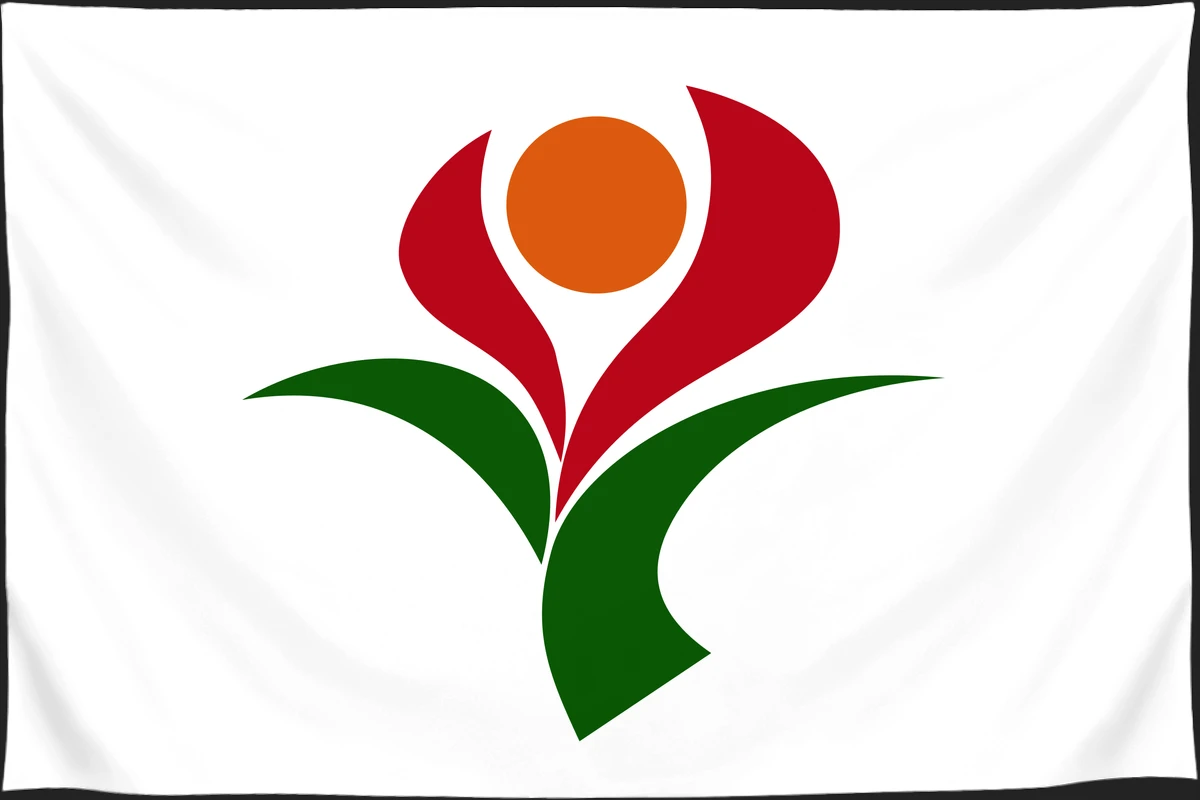 Флаг: Соо