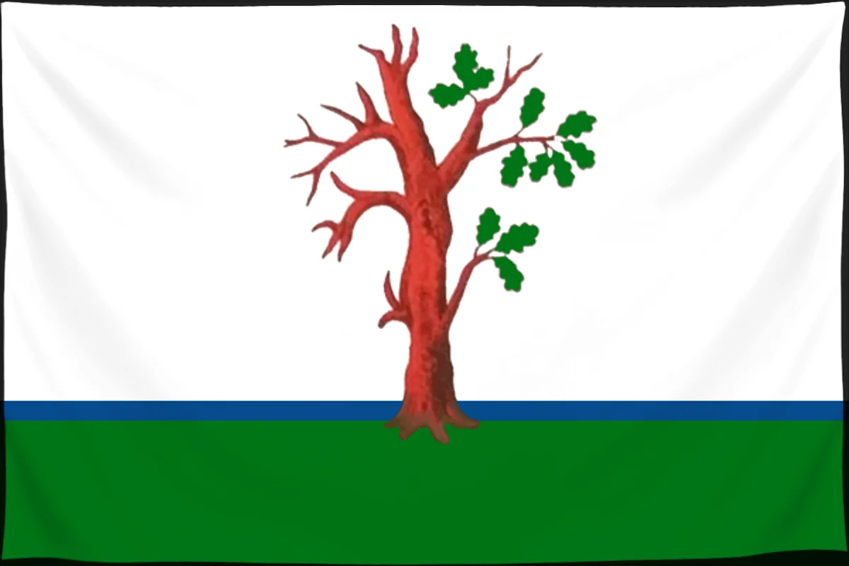 Флаг: Стародуб