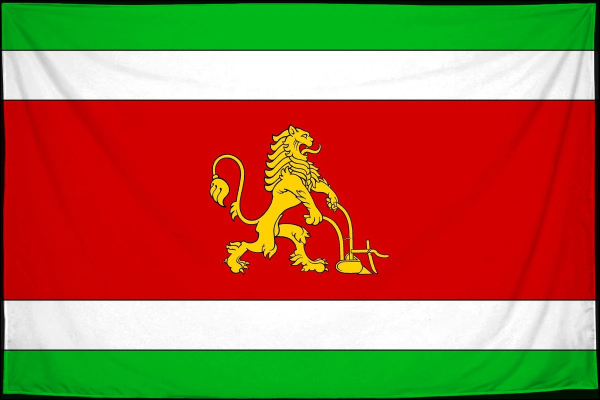 Флаг: Тараклия