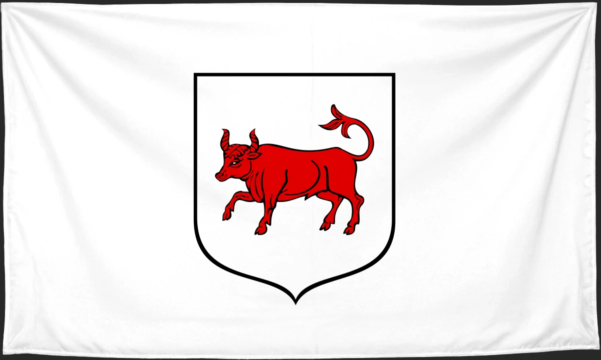 Флаг: Турек
