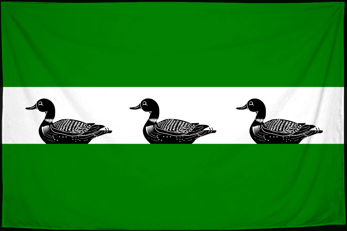 Флаг: Фалешты