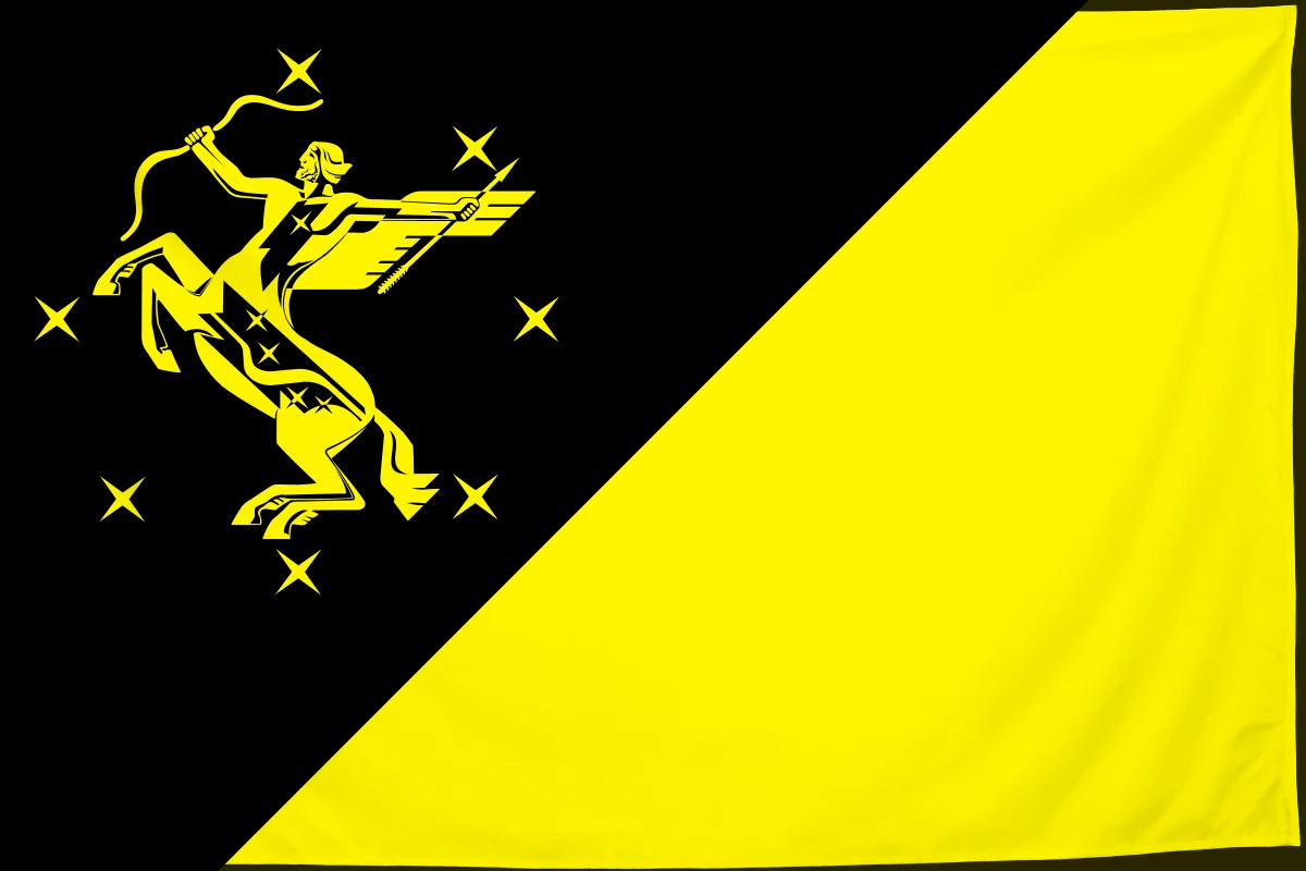 Флаг: Химки