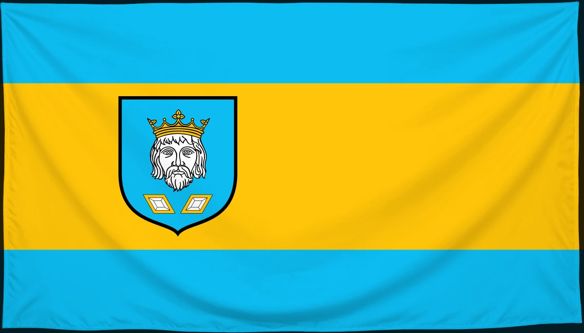 Флаг: Шамотулы