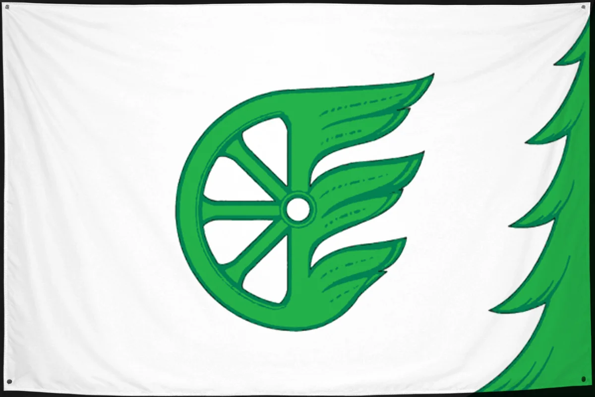 Флаг: Шахунья