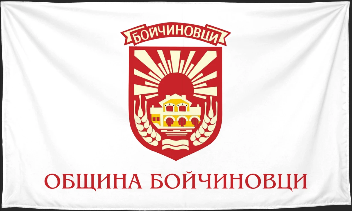 Флаг: Бойчиновци