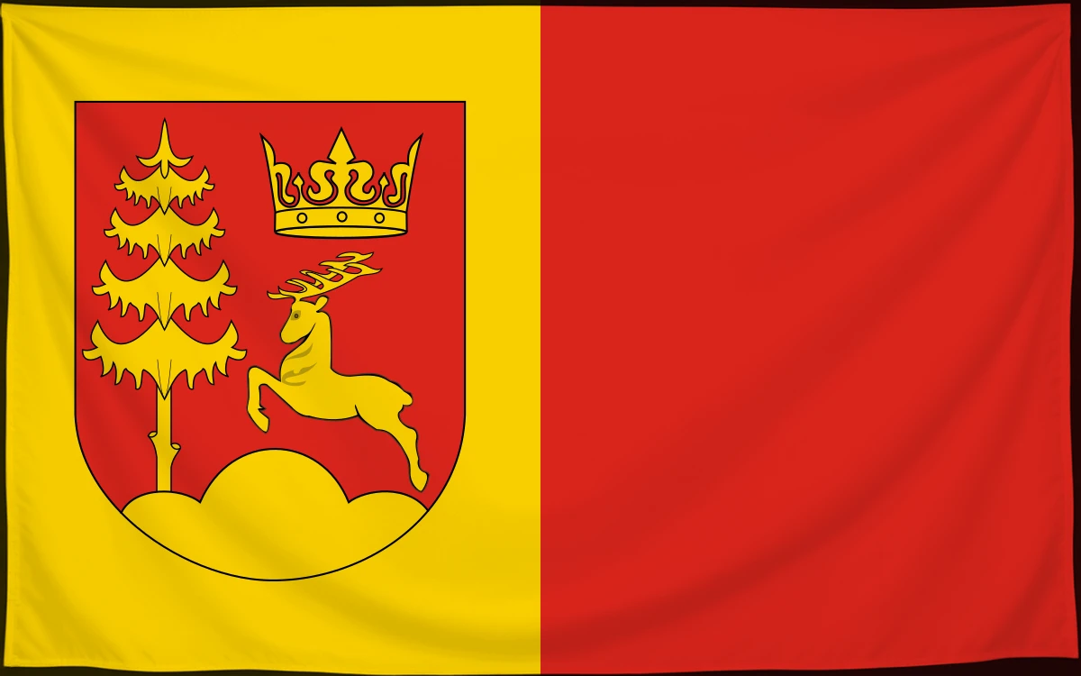 Флаг: Будзув