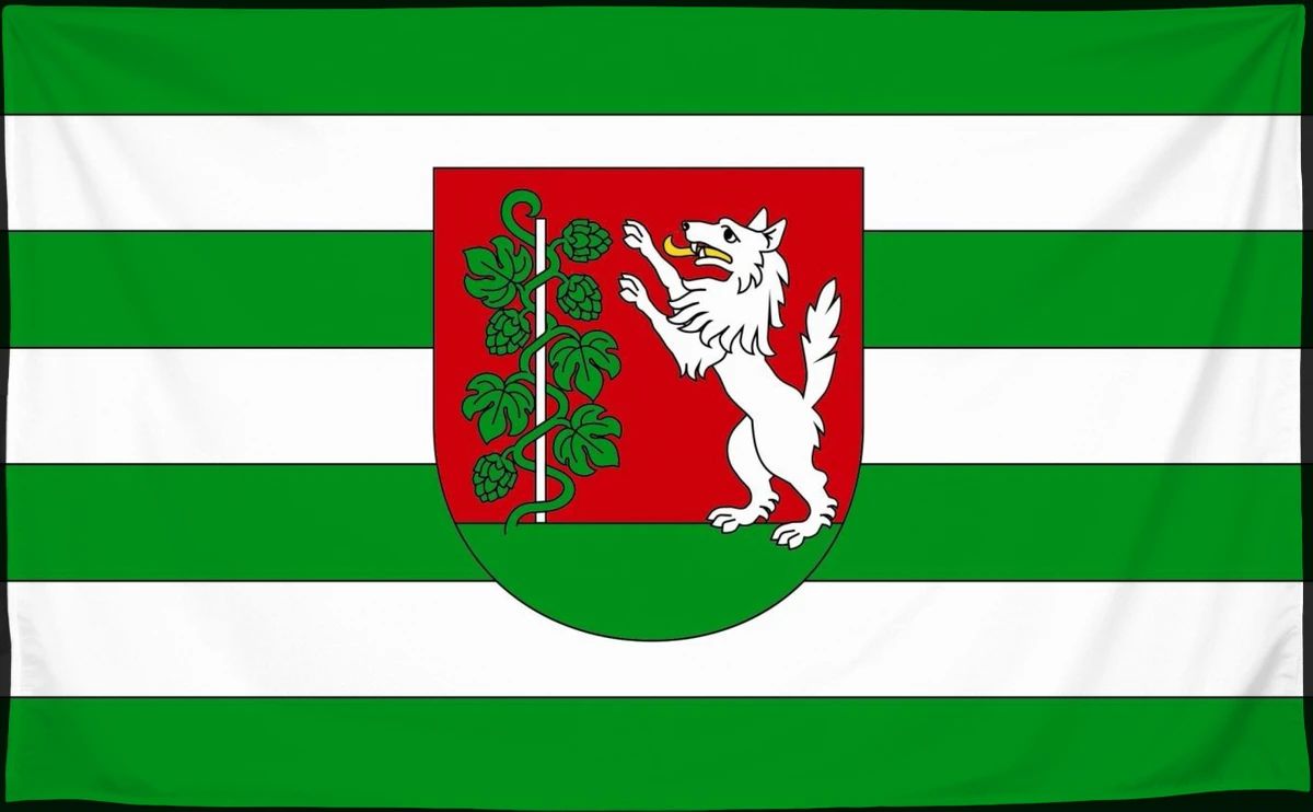 Флаг: Вилькув