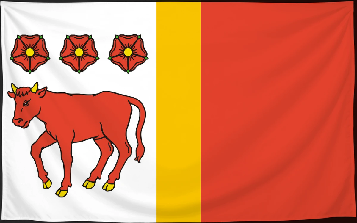 Флаг: Войцешкув