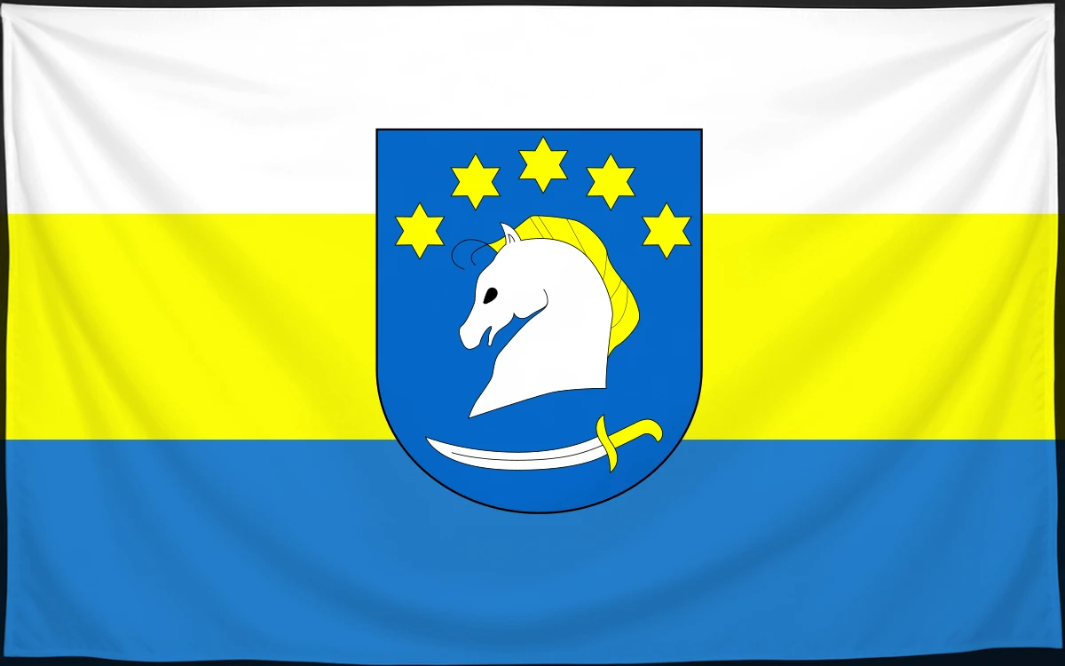 Флаг: Дземяны