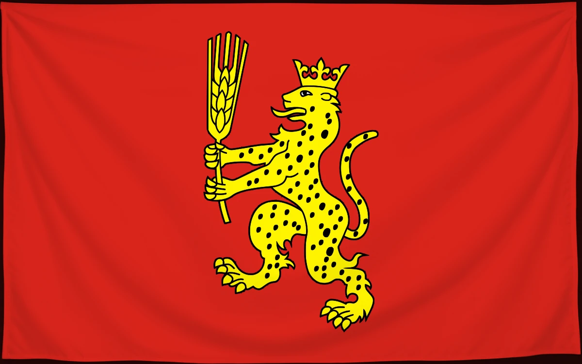 Флаг: Закшев