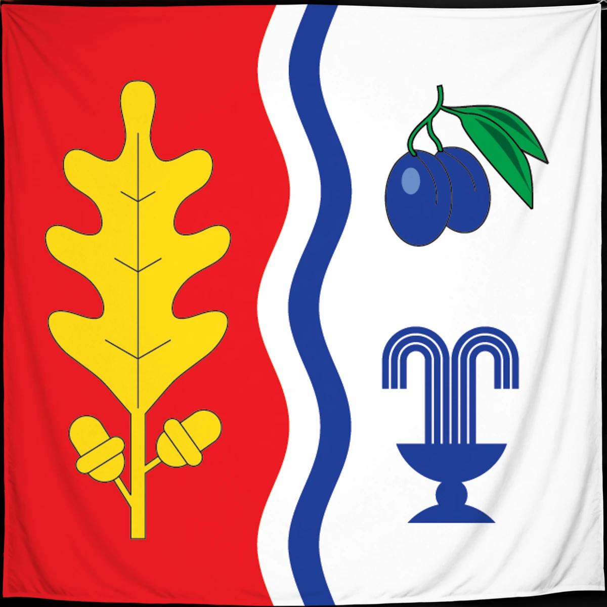 Флаг: Лиг