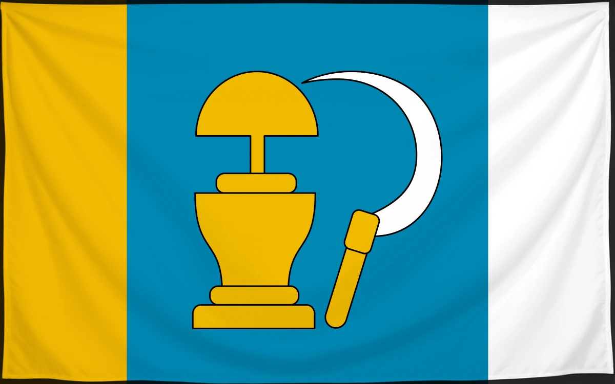 Флаг: Медзьна