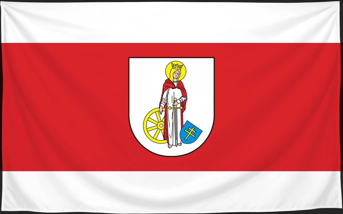 Флаг: Медзьно
