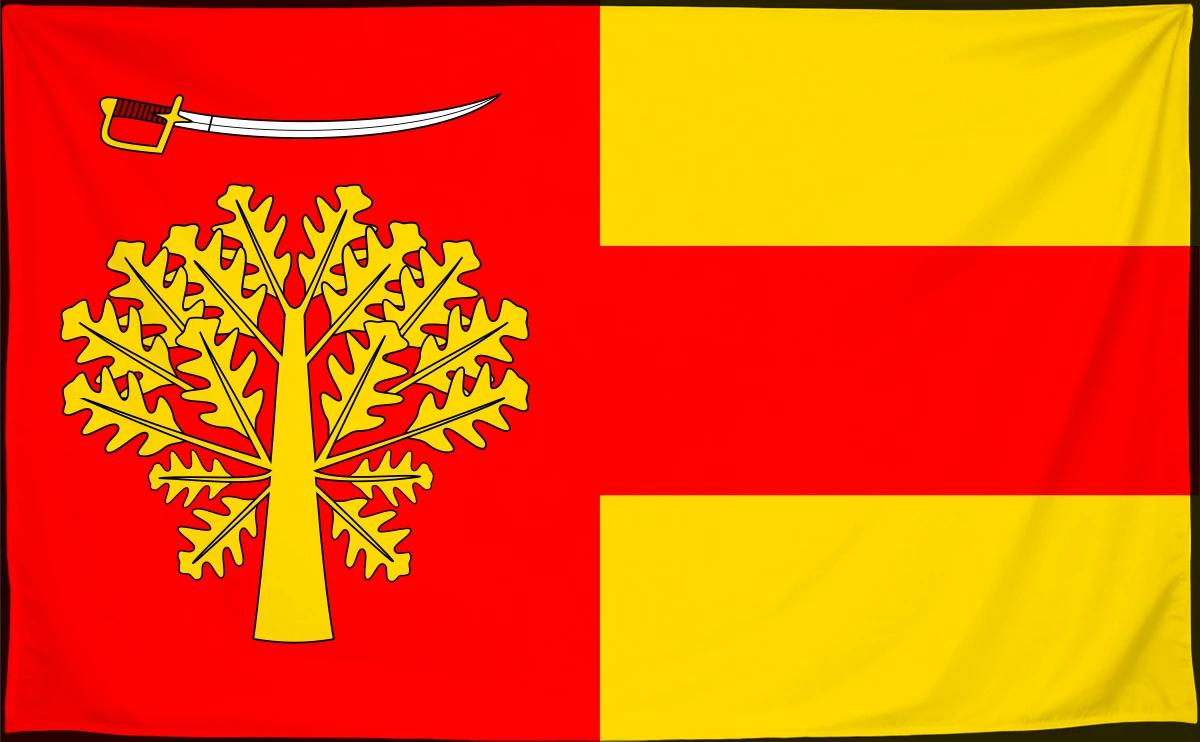 Флаг: Соболев