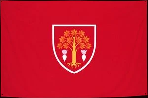 Флаг