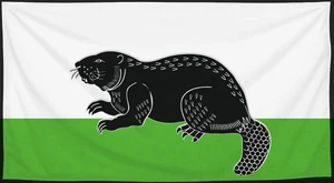 Флаг
