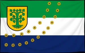 Флаг
