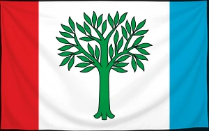 Флаг