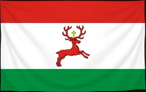 Флаг
