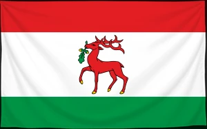 Флаг