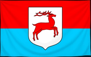 Флаг