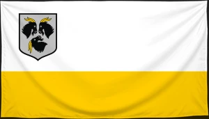 Флаг