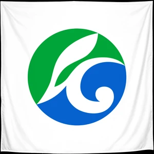 Флаг
