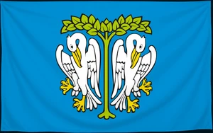 Флаг
