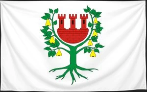 Флаг
