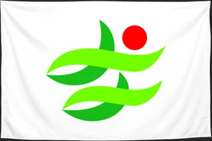 Флаг